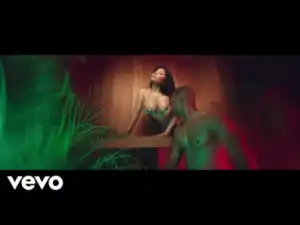 Nicki Minaj — Megatron